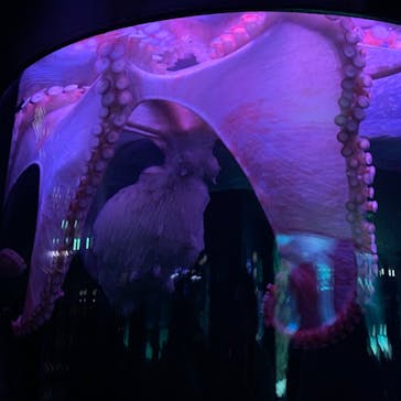 サンシャイン水族館に投稿された画像（2021/4/18）