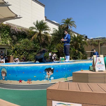 サンシャイン水族館に投稿された画像（2021/4/18）