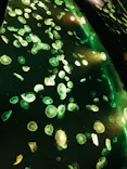 すみだ水族館に投稿された画像（2021/4/18）