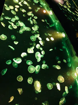 すみだ水族館に投稿された画像（2021/4/18）