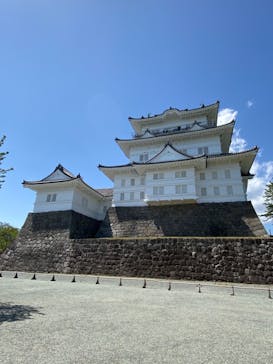 小田原城に投稿された画像（2021/4/18）