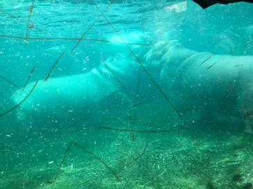 天王寺動物園に投稿された画像（2021/4/18）