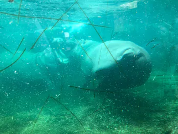 天王寺動物園に投稿された画像（2021/4/18）
