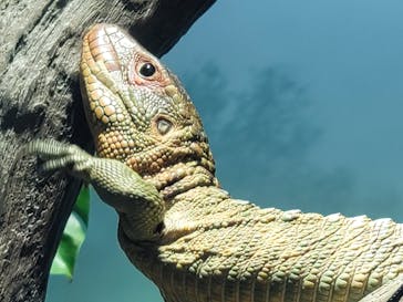 サンシャイン水族館に投稿された画像（2021/4/18）