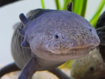 サンシャイン水族館に投稿された画像（2021/4/18）