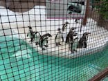 天王寺動物園に投稿された画像（2021/4/18）