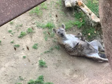 天王寺動物園に投稿された画像（2021/4/18）