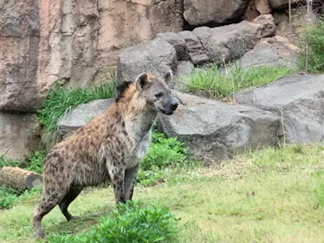 天王寺動物園に投稿された画像（2021/4/18）
