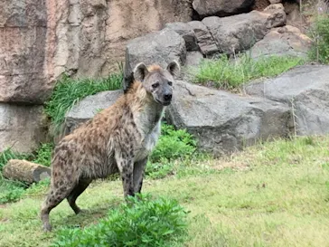 天王寺動物園に投稿された画像（2021/4/18）