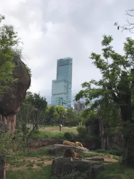 天王寺動物園に投稿された画像（2021/4/18）