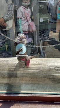 横浜・八景島シーパラダイスに投稿された画像（2021/4/18）