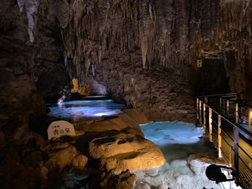 おきなわワールドに投稿された画像（2021/4/18）