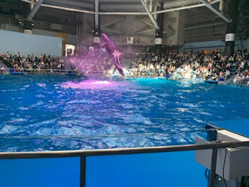 マクセル アクアパーク品川に投稿された画像（2021/4/18）