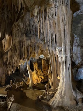 石垣島鍾乳洞に投稿された画像（2021/4/18）