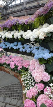 安城産業文化公園デンパークに投稿された画像（2021/4/18）