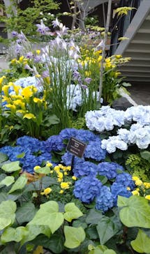 安城産業文化公園デンパークに投稿された画像（2021/4/18）