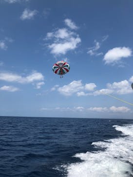 Sea World（シーワールド）に投稿された画像（2021/4/18）