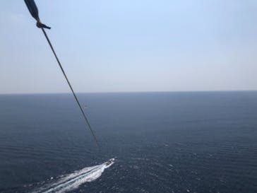 Sea World（シーワールド）に投稿された画像（2021/4/18）