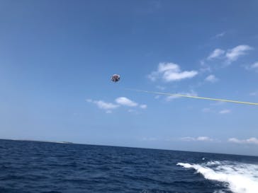 Sea World（シーワールド）に投稿された画像（2021/4/18）