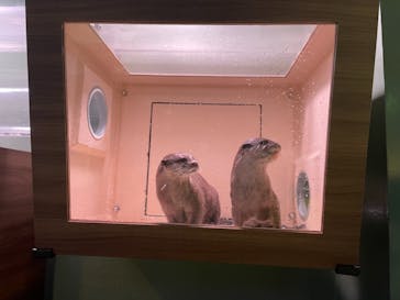 マクセル アクアパーク品川に投稿された画像（2021/4/18）