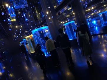 マクセル アクアパーク品川に投稿された画像（2021/4/18）