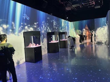 マクセル アクアパーク品川に投稿された画像（2021/4/18）