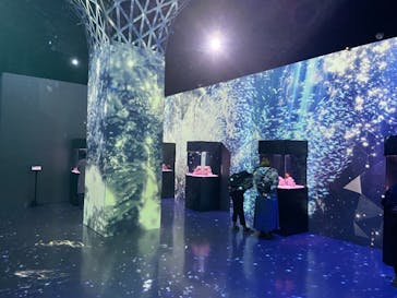 マクセル アクアパーク品川に投稿された画像（2021/4/18）