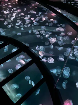 すみだ水族館に投稿された画像（2021/4/18）