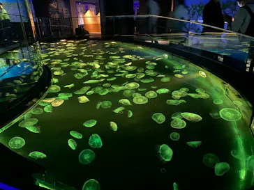 すみだ水族館に投稿された画像（2021/4/18）