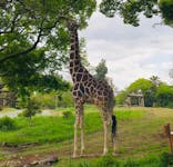 天王寺動物園に投稿された画像（2021/4/18）