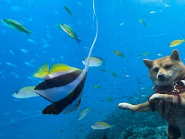 京急油壺マリンパークに投稿された画像（2021/4/18）