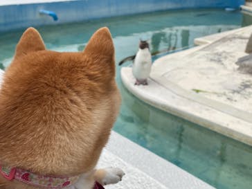 京急油壺マリンパークに投稿された画像（2021/4/18）