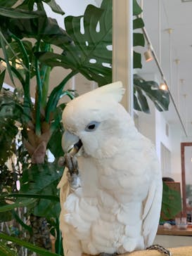 Moff animal world BIGHOPガーデンモール印西店に投稿された画像（2021/4/18）