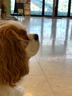 Moff animal world BIGHOPガーデンモール印西店に投稿された画像（2021/4/18）