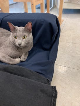 Moff animal world BIGHOPガーデンモール印西店に投稿された画像（2021/4/18）