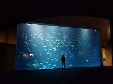 四国水族館に投稿された画像（2021/4/18）