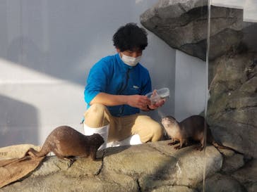 四国水族館に投稿された画像（2021/4/18）