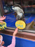 ゼロ距離水族館 伊勢シーパラダイスに投稿された画像（2021/4/18）
