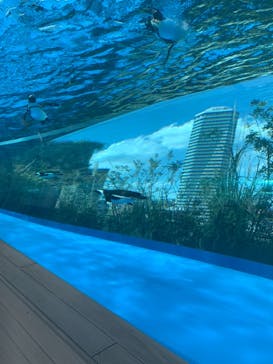 サンシャイン水族館に投稿された画像（2021/4/18）