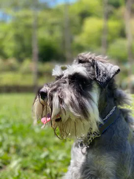 わんダフルネイチャーヴィレッジに投稿された画像（2021/4/18）