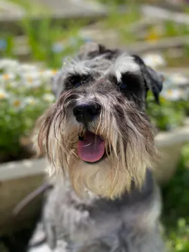 わんダフルネイチャーヴィレッジに投稿された画像（2021/4/18）