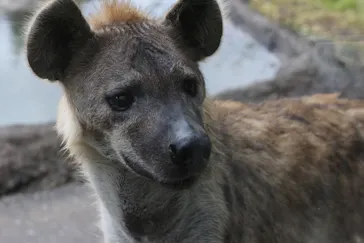 天王寺動物園に投稿された画像（2021/4/18）