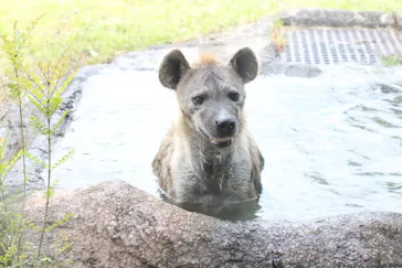 天王寺動物園に投稿された画像（2021/4/18）