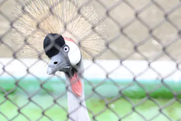 天王寺動物園に投稿された画像（2021/4/18）