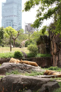 天王寺動物園に投稿された画像（2021/4/18）