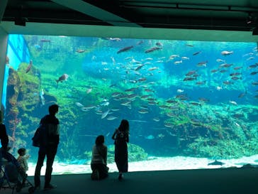 九十九島水族館海きららに投稿された画像（2021/4/18）