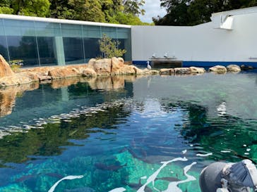 九十九島水族館海きららに投稿された画像（2021/4/18）