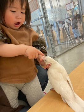 Moff アニマル カフェ イーアス 高尾店に投稿された画像（2021/4/18）