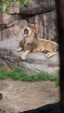 天王寺動物園に投稿された画像（2021/4/19）