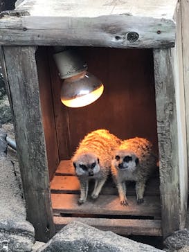 伊豆シャボテン動物公園に投稿された画像（2021/4/19）